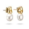 Thumbnail Image 1 of Thomas Sabo Bold Elegance 18ct Yellow Gold Plated Pearl Stud Earrings