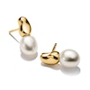 Thumbnail Image 3 of Thomas Sabo Bold Elegance 18ct Yellow Gold Plated Pearl Stud Earrings