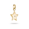 Thumbnail Image 1 of Thomas Sabo 18ct Yellow Gold Plated & Cubic Zirconia Star of Hope Charm