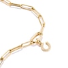 Thumbnail Image 2 of Thomas Sabo 18ct Yellow Gold Plated Horseshoe Connect Charm