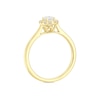 Thumbnail Image 3 of Engagement Ring Arctic Light 18ct Yellow Gold Solitaire Halo 0.40ct Diamond Ring