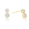 Thumbnail Image 1 of 9ct Yellow Gold 0.25ct Diamond Flower Shaped Cluster Drop Earrings