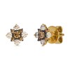 Thumbnail Image 1 of Le Vian 14ct Yellow Gold Chocolate & Nude 0.50ct Diamond Stud Earrings