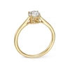 Thumbnail Image 3 of Engagement Ring Arctic Light 18ct Yellow Gold Round Solitaire 0.70ct Diamond Ring