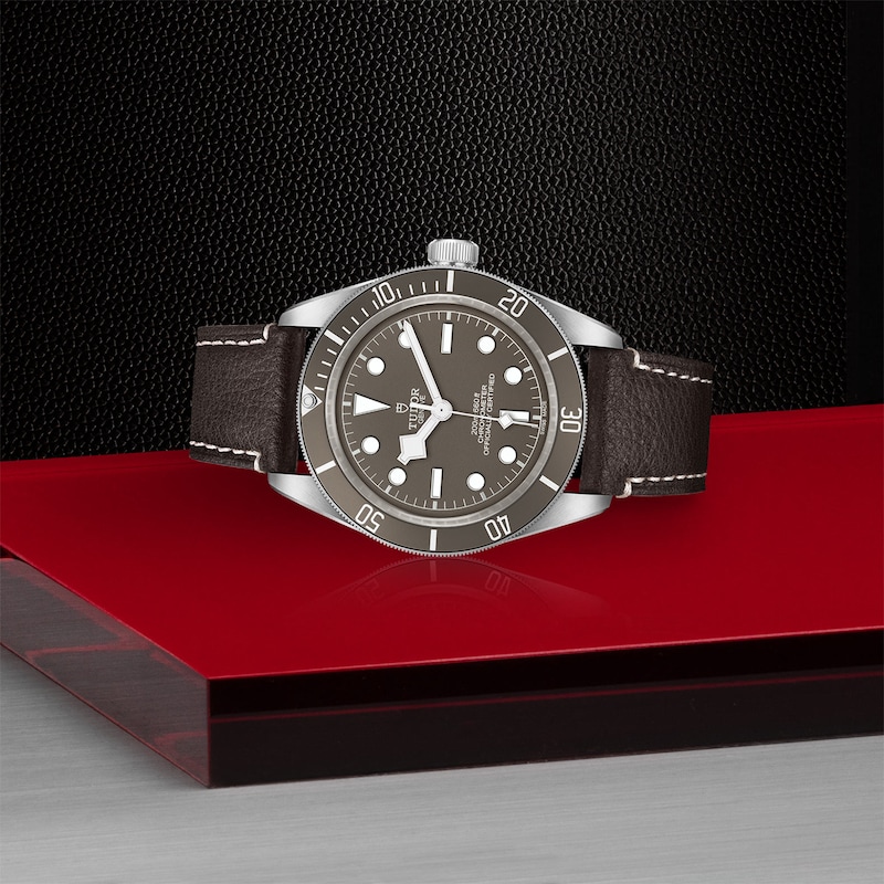 Tudor Black Bay 58 925 Brown Leather Strap Watch