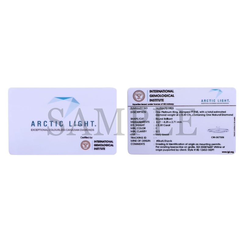 Main Image 5 of Engagement Ring Arctic Light Platinum 0.75ct Total Diamond Halo Ring