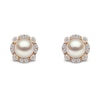 Thumbnail Image 0 of Yoko London 18ct Yellow Gold Pearl & 0.24ct Diamond Earrings