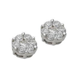 9ct White Gold 0.50ct Total Diamond Cluster Stud Earrings