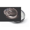 Thumbnail Image 1 of Tissot Le Locle Men's Two Tone Stainless Steel Watch