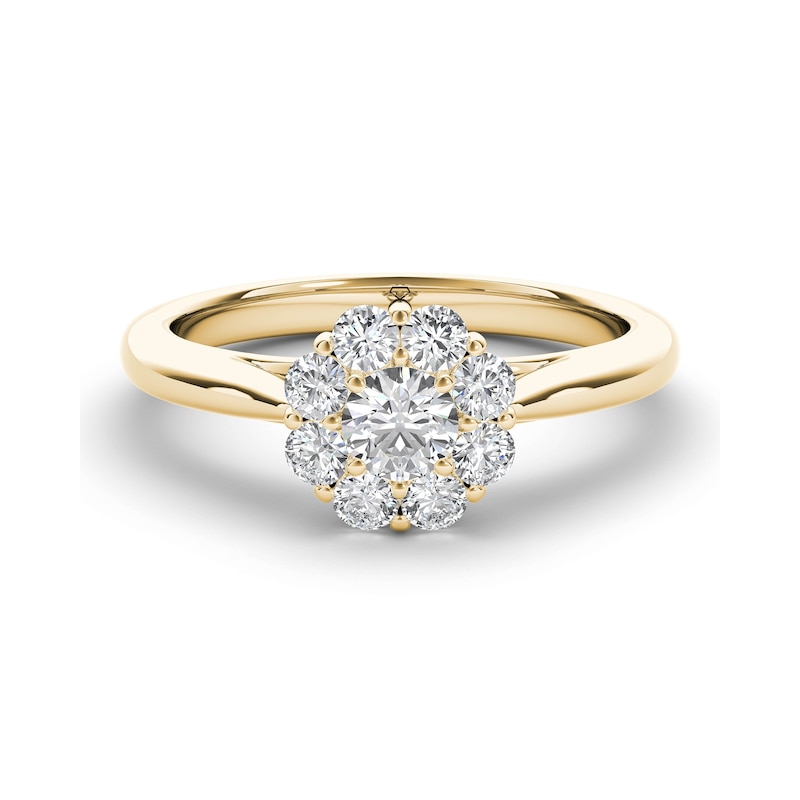 The Diamond Story 18ct Yellow Gold 0.50ct Total Diamond Ring