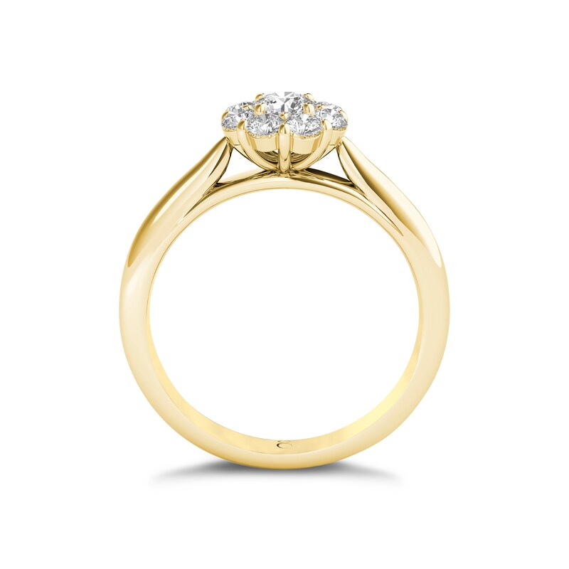 The Diamond Story 18ct Yellow Gold 0.50ct Total Diamond Ring