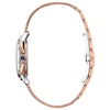 Thumbnail Image 3 of Citizen Eco-Drive Ceci Diamond Ladies' Mesh Bracelet Watch