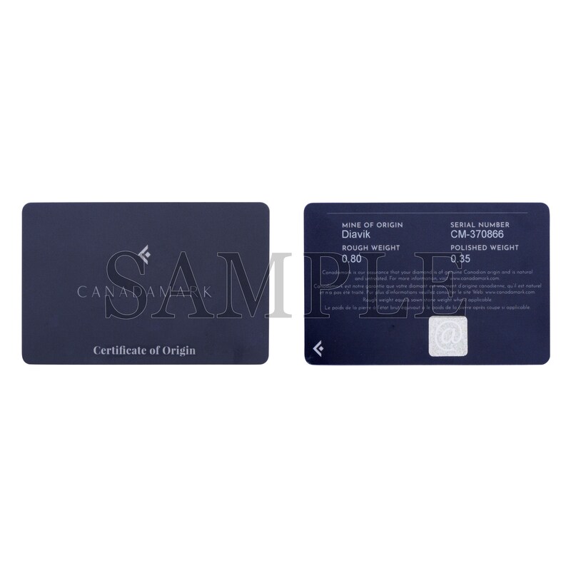 Main Image 5 of Engagement Ring Platinum 1ct Total Diamond Ring