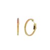 Thumbnail Image 1 of CARAT* LONDON Rainbow Yellow Gold Finish Silver Earrings
