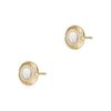 Thumbnail Image 0 of Emporio Armani Gold Plated Sterling Silver MOP Earrings