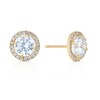 Thumbnail Image 0 of 9ct Yellow Gold Cubic Zirconia Halo Stud Earrings