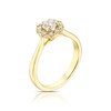 Thumbnail Image 1 of Origin 18ct Yellow Gold 0.66ct Diamond Round Cut Halo Ring