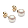 Thumbnail Image 1 of Yoko London Classic 18ct Yellow Gold Akoya Pearl 8mm Stud Earrings