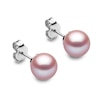 Thumbnail Image 0 of Yoko London Classic 18ct White Gold Pink Freshwater Pearl Stud Earrings