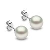 Thumbnail Image 1 of Yoko London Classic 18ct White Gold South Sea Pearl Stud Earrings