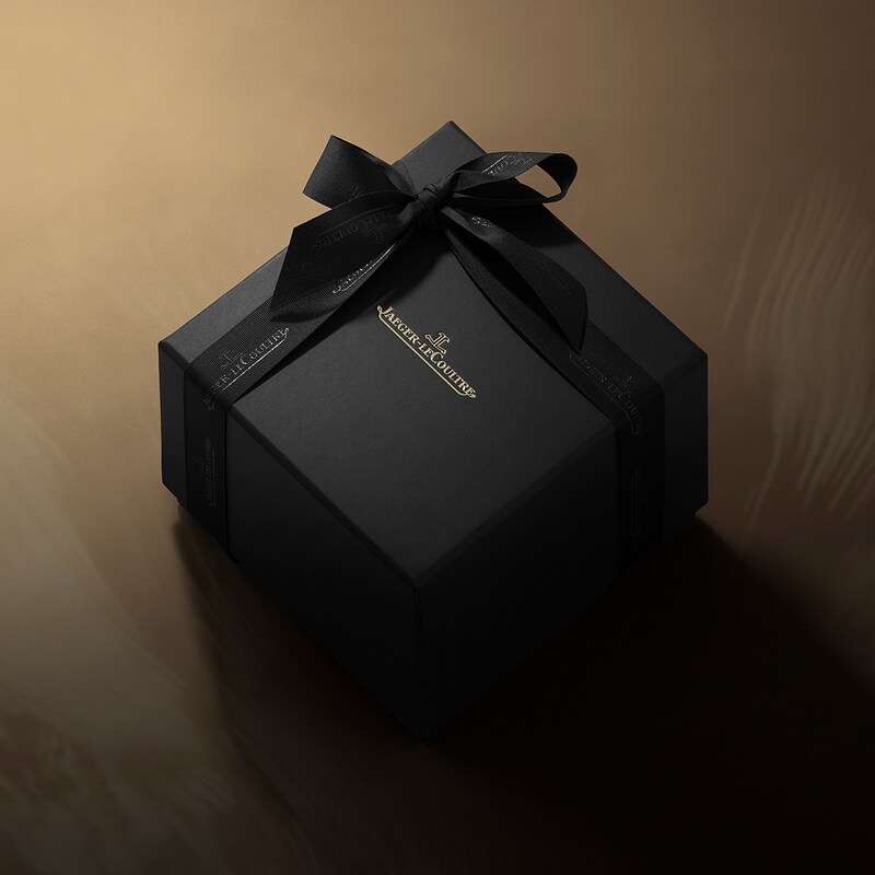 Jaeger-LeCoultre Polaris Men 