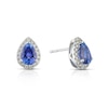 Thumbnail Image 0 of Le Vian 14ct White Gold 0.23ct Nude Diamonds & Blue Tanzanite Pear Shape Stud Earrings