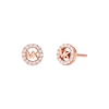 Thumbnail Image 0 of Michael Kors Rose 14ct Gold Plated Sterling Silver Stud Earrings