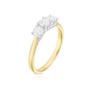 Thumbnail Image 2 of 18ct Yellow Gold 0.75ct Diamond Trilogy Round Cut Ring