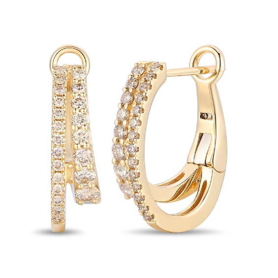 Le Vian 14ct Yellow Gold and 0.50ct Diamond Double Row Hoop 