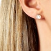 Thumbnail Image 3 of Yoko London Trend 18ct Yellow Gold Akoya Pearl 0.12ct Diamond Earrings