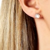 Thumbnail Image 3 of Yoko London Trend 18ct White Gold Freshwater Pearl 0.12ct Diamond Earrings